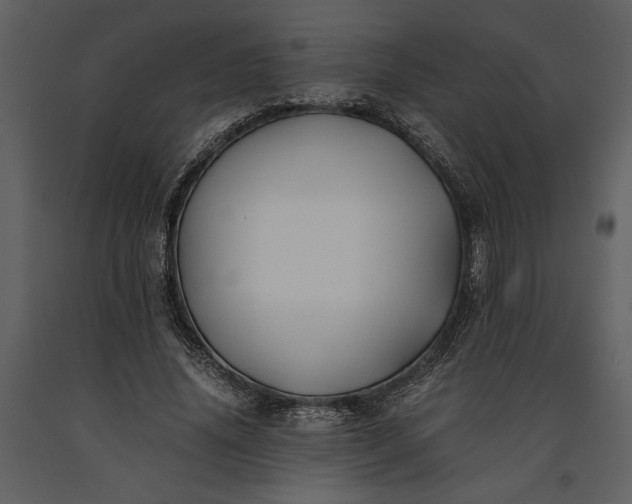 X0000091220636200708231632