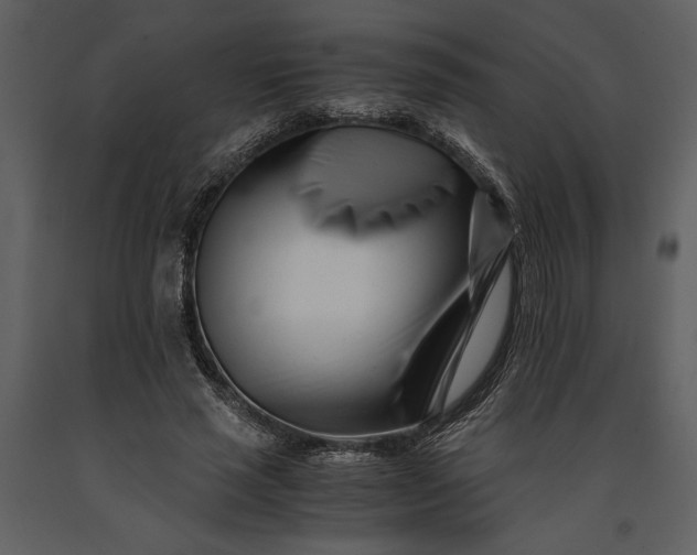 X0000091220637200708231632