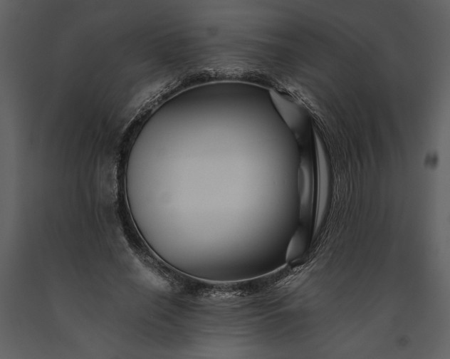 X0000091220638200708231632