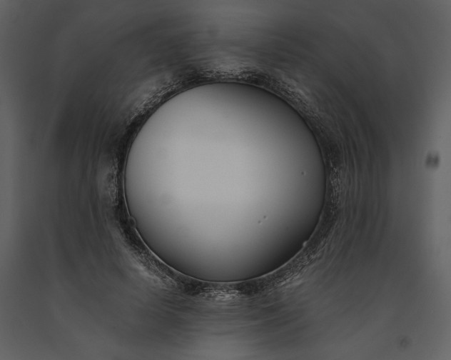 X0000091220642200708231632