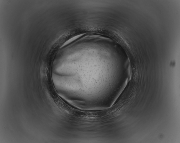 X0000091220643200708231632