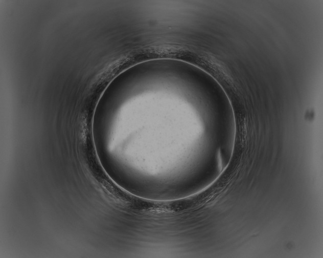 X0000091220644200708231632