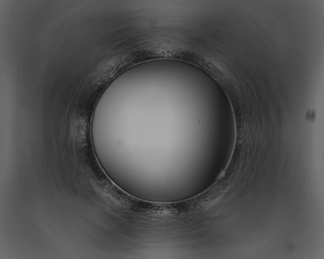 X0000091220646200708231632