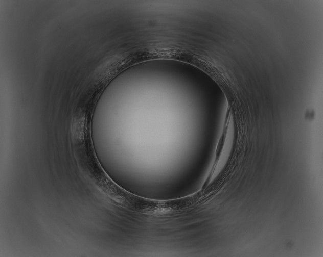 X0000091220647200708231632