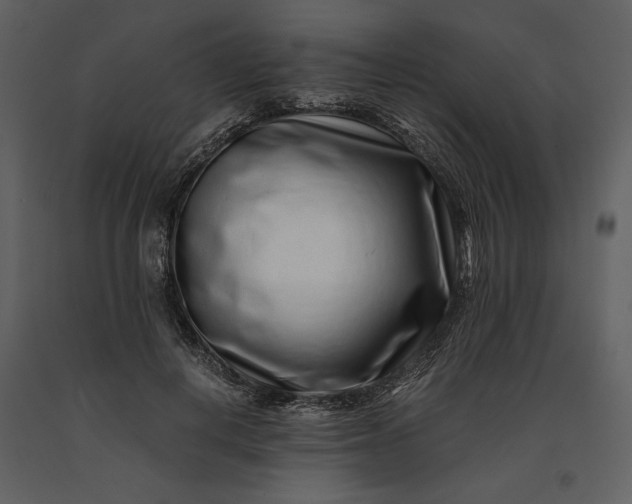 X0000091220648200708231632