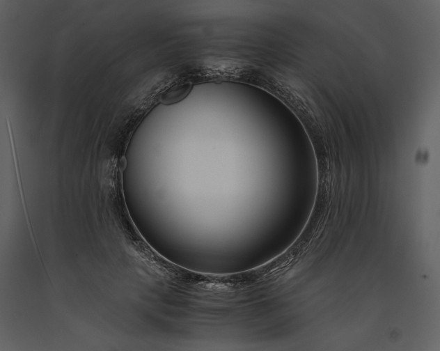 X0000091220649200708231632