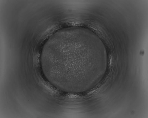 X0000091220650200708231632