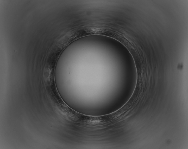 X0000091220651200708231632