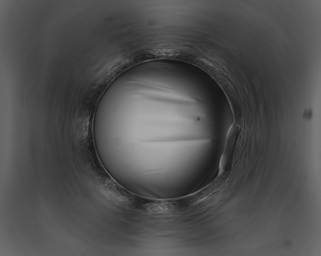 X0000091220652200708231632