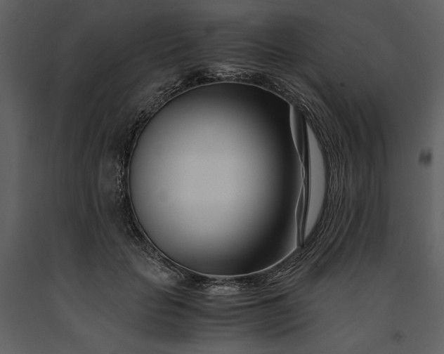 X0000091220653200708231632