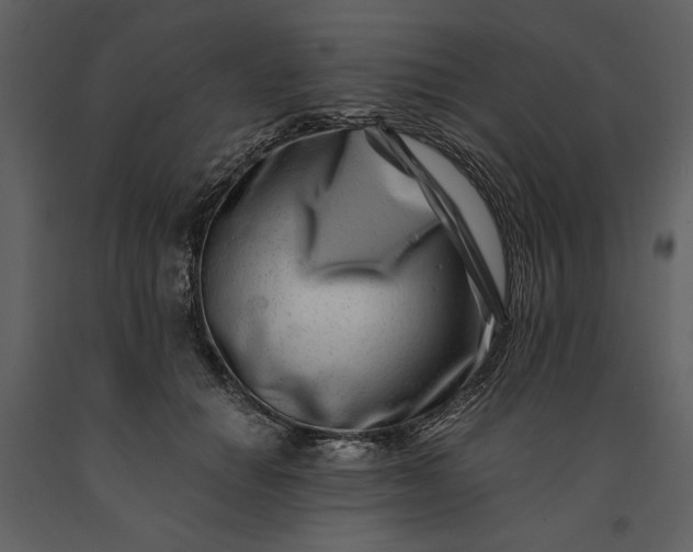 X0000091220654200708231632