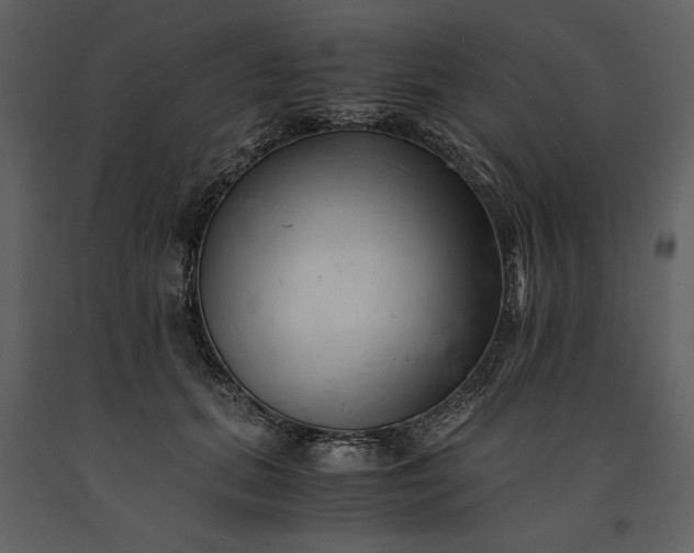 X0000091220655200708231632