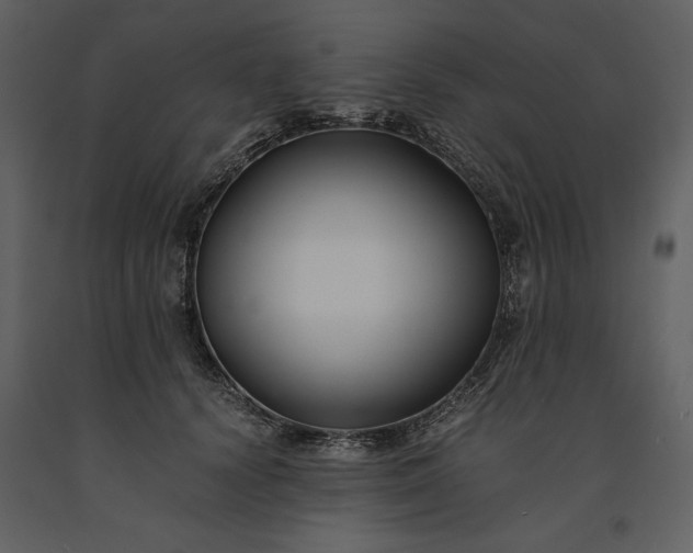 X0000091220656200708231632