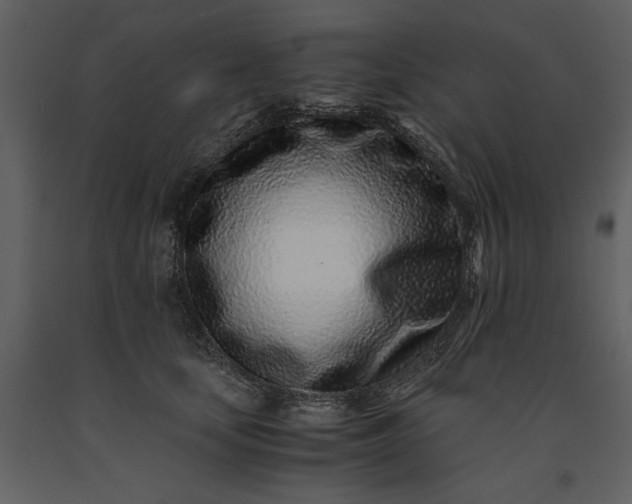 X0000091220659200708231632