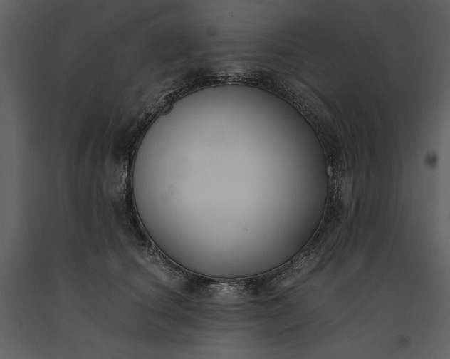 X0000091220660200708231632