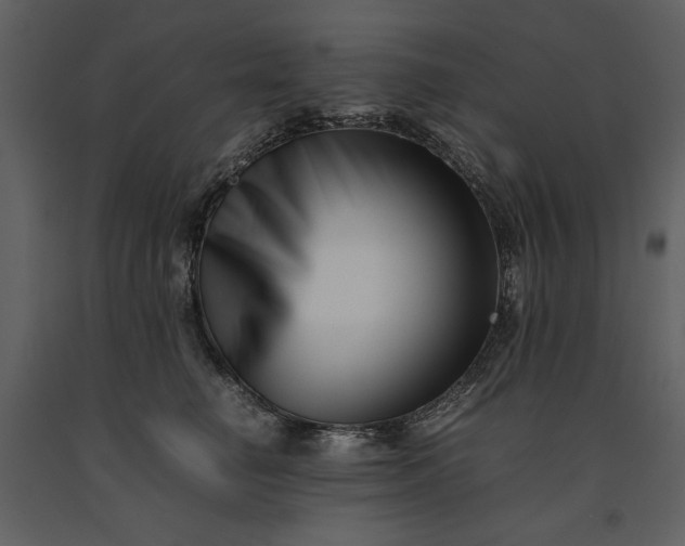 X0000091220662200708231632