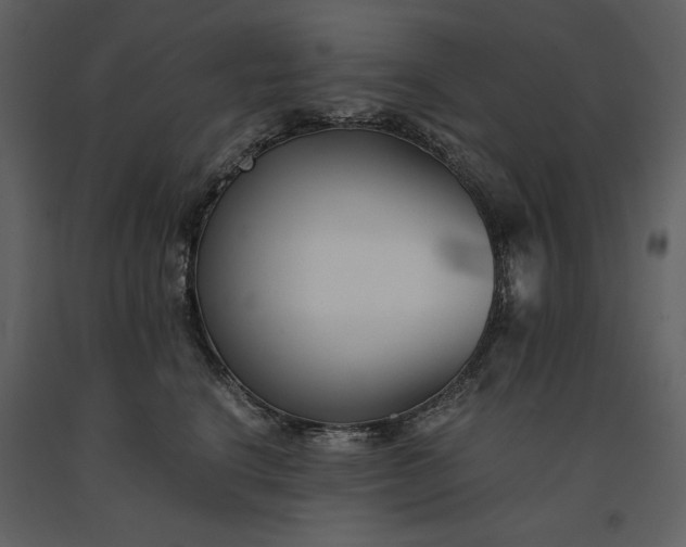 X0000091220664200708231632