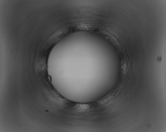 X0000091220665200708231632