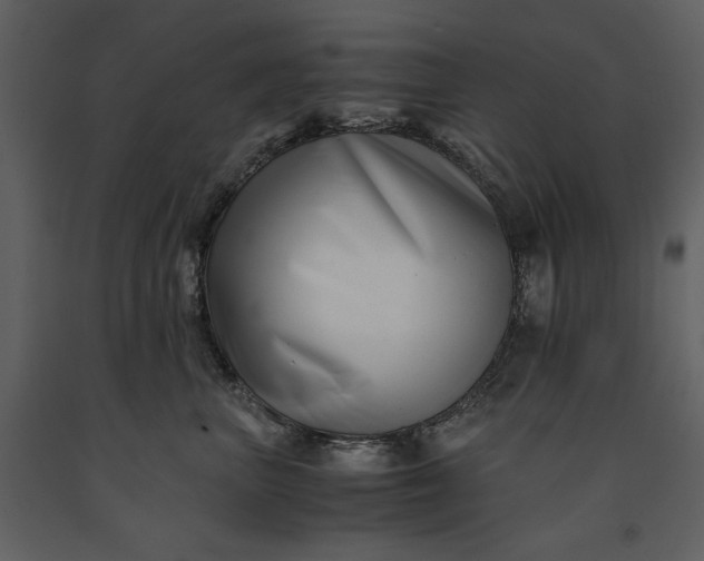 X0000091220667200708231632