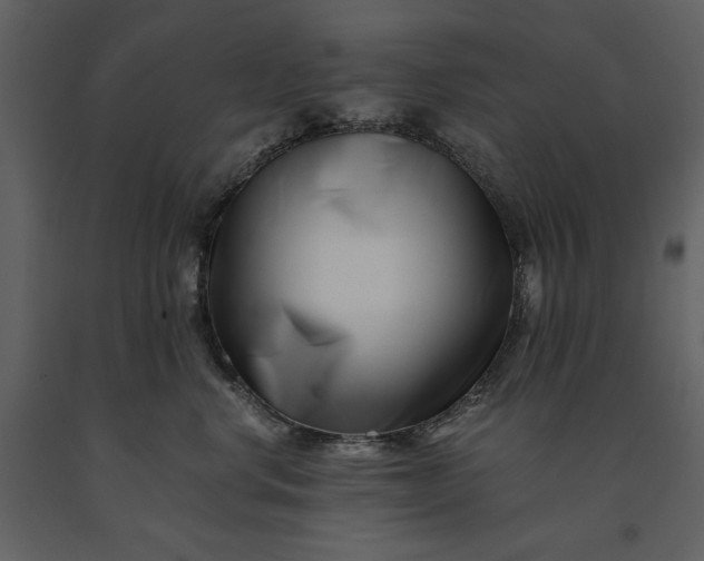 X0000091220668200708231632