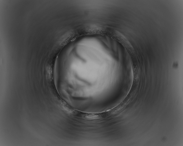 X0000091220669200708231632