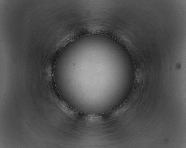 X0000091220670200708231632