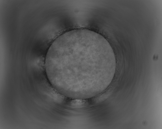 X0000091220672200708231632