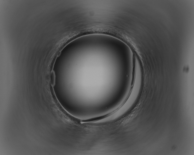 X0000091220673200708231631