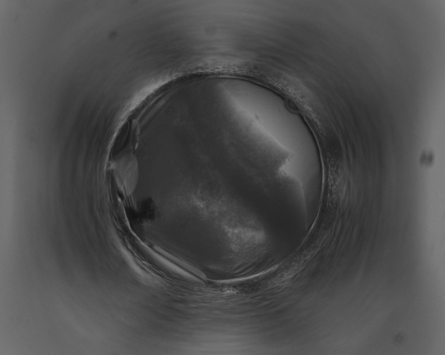 X0000091220674200708231631