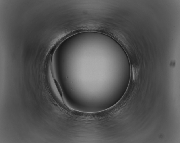 X0000091220675200708231631