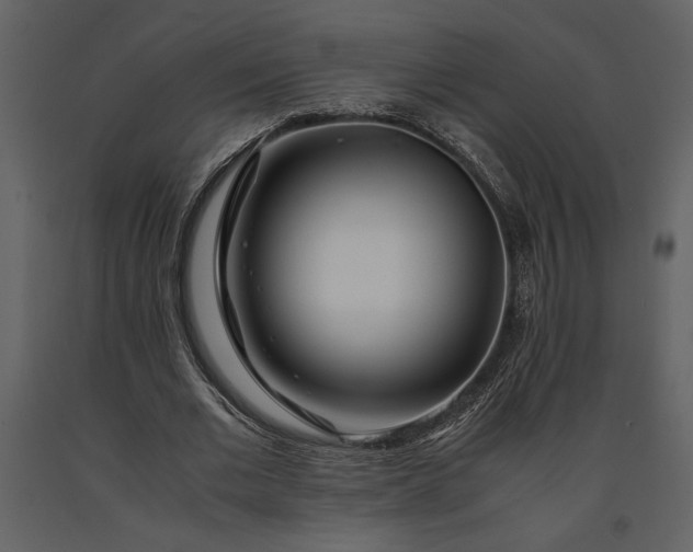 X0000091220677200708231631