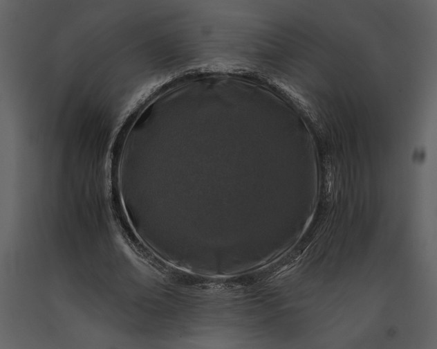 X0000091220678200708231631