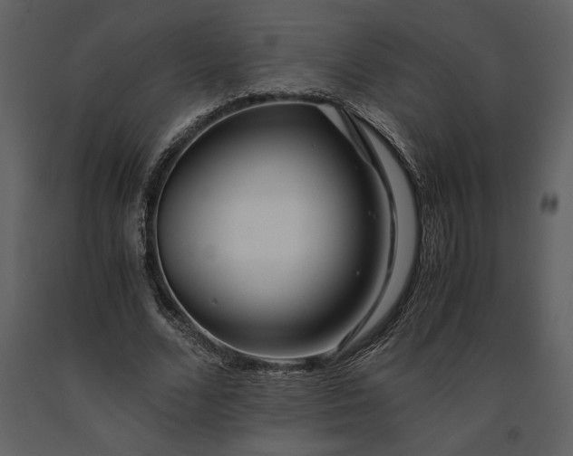 X0000091220680200708231631