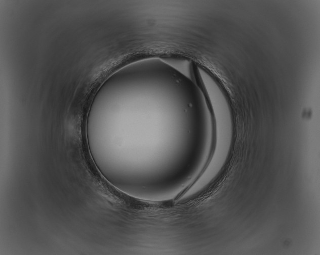 X0000091220681200708231631