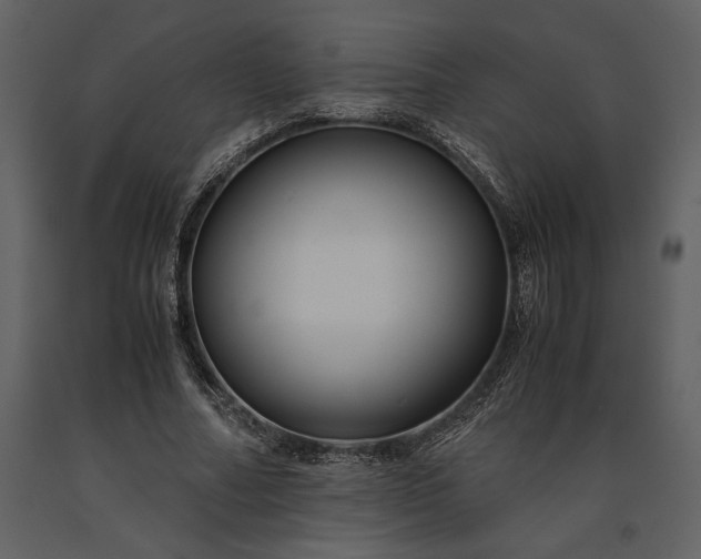 X0000091220682200708231631