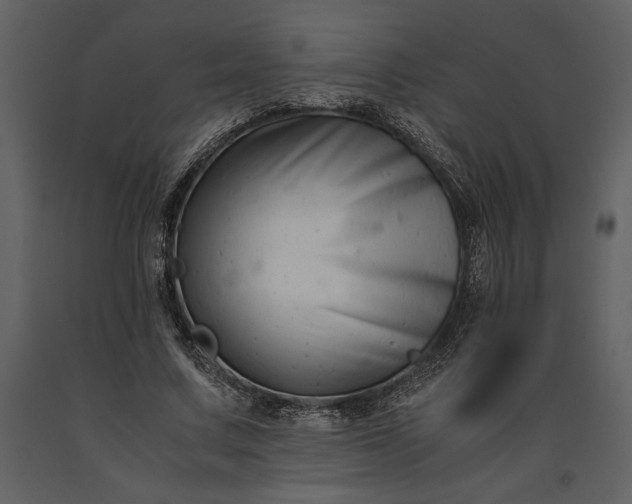 X0000091220683200708231631