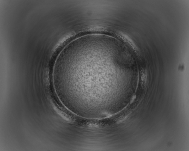 X0000091220684200708231631