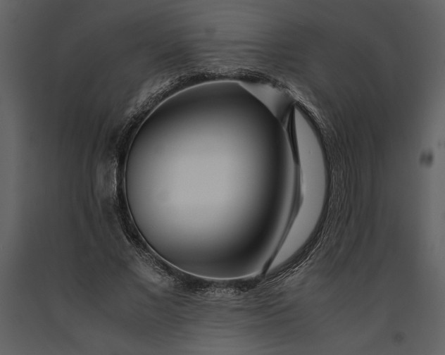 X0000091220685200708231631