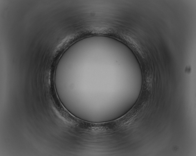 X0000091220686200708231631