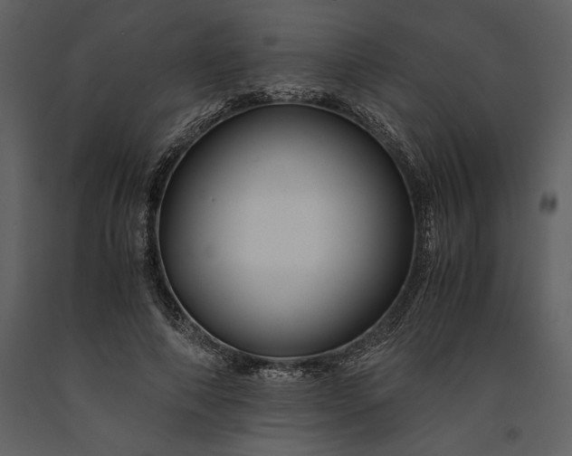 X0000091220690200708231631