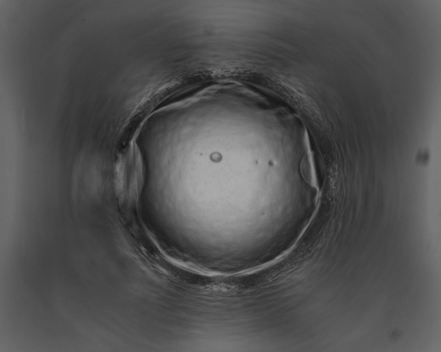 X0000091220691200708231631