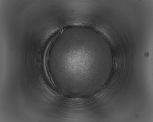 X0000091220692200708231631