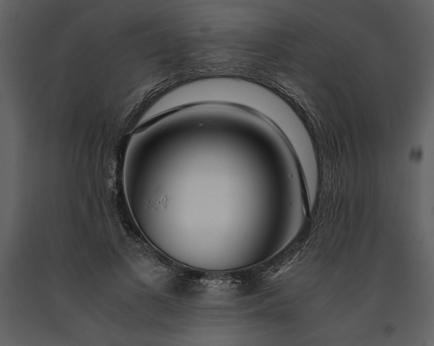 X0000091220693200708231631