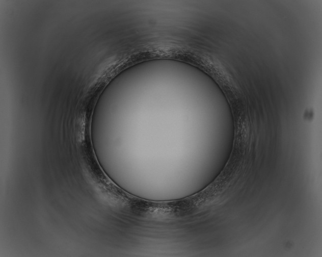 X0000091220694200708231631