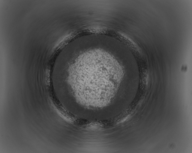 X0000091220696200708231631