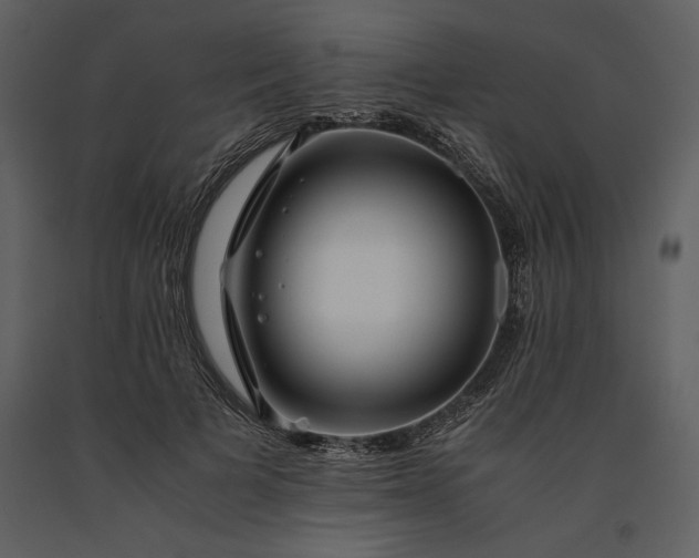 X0000091220697200708231631