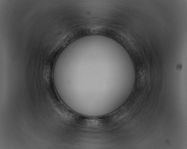 X0000091220698200708231631