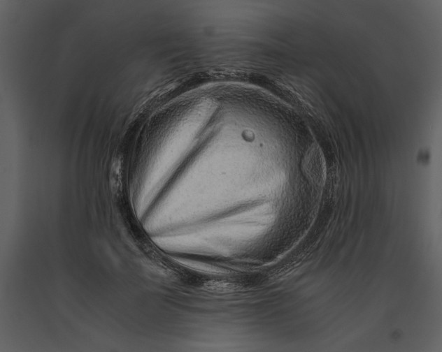 X0000091220699200708231631