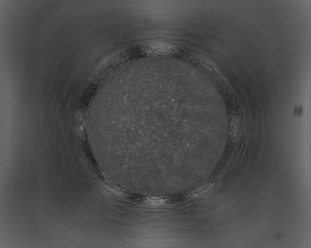 X0000091220701200708231631