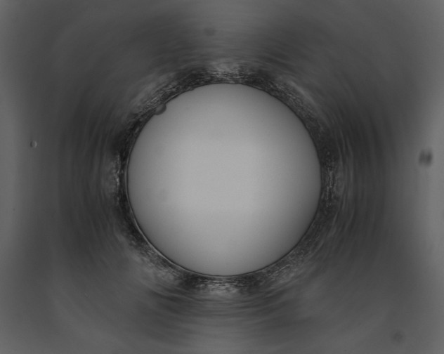 X0000091220702200708231631